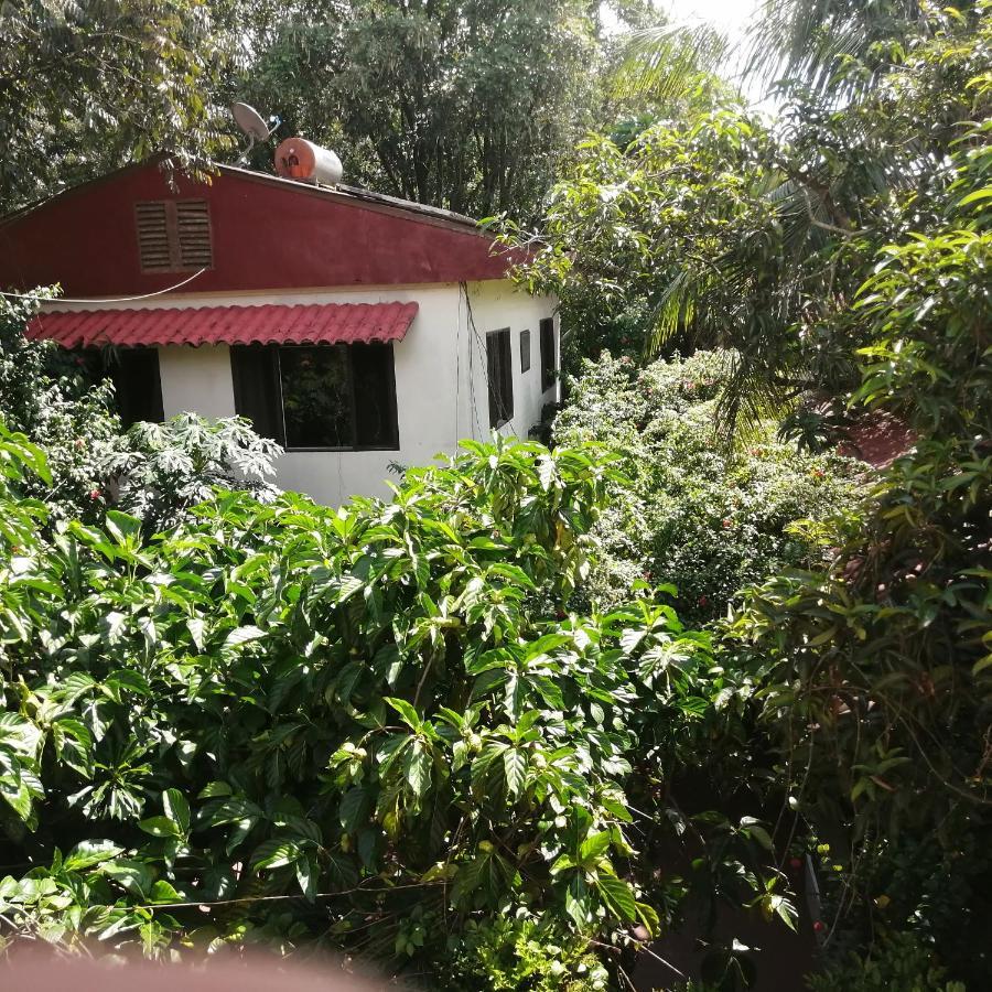La Casa Fitzcarraldo Hotel Iquitos Kültér fotó